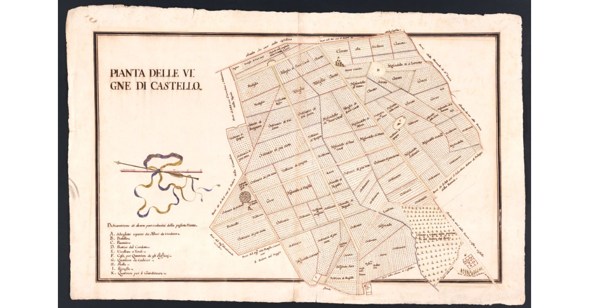 Pianta delle vigne di Castello