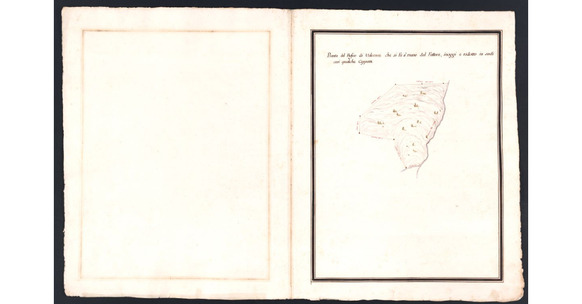 Pianta del Bosco di Valcenni che si Fa a mano dal Fattore, inoggi e ridotto in sodi con qualche Ceppata
