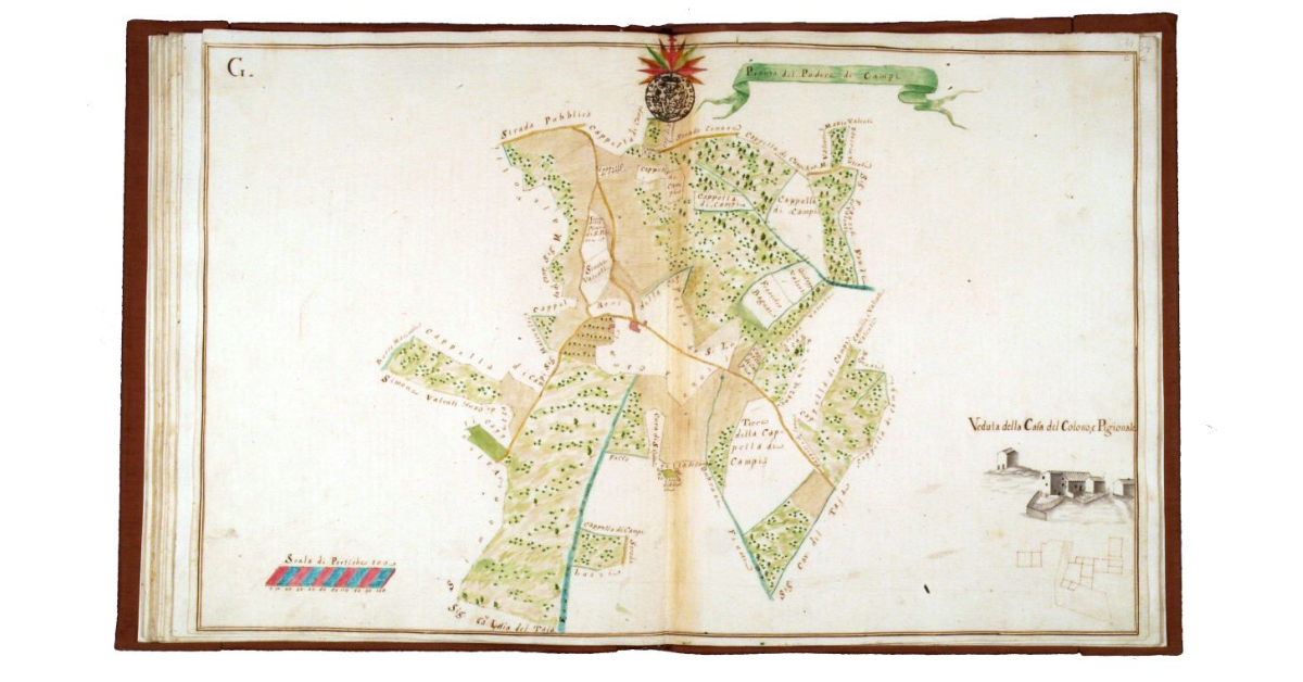 Pianta del podere di Campi