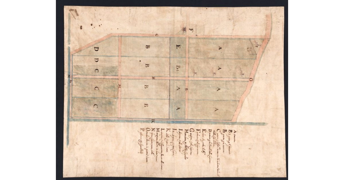 [Pianta dei terreni compresi fra la strada che va a Pietrasanta, il fosso dello Scorno, la fossa Cuccia e lo stradone delle Cascine]