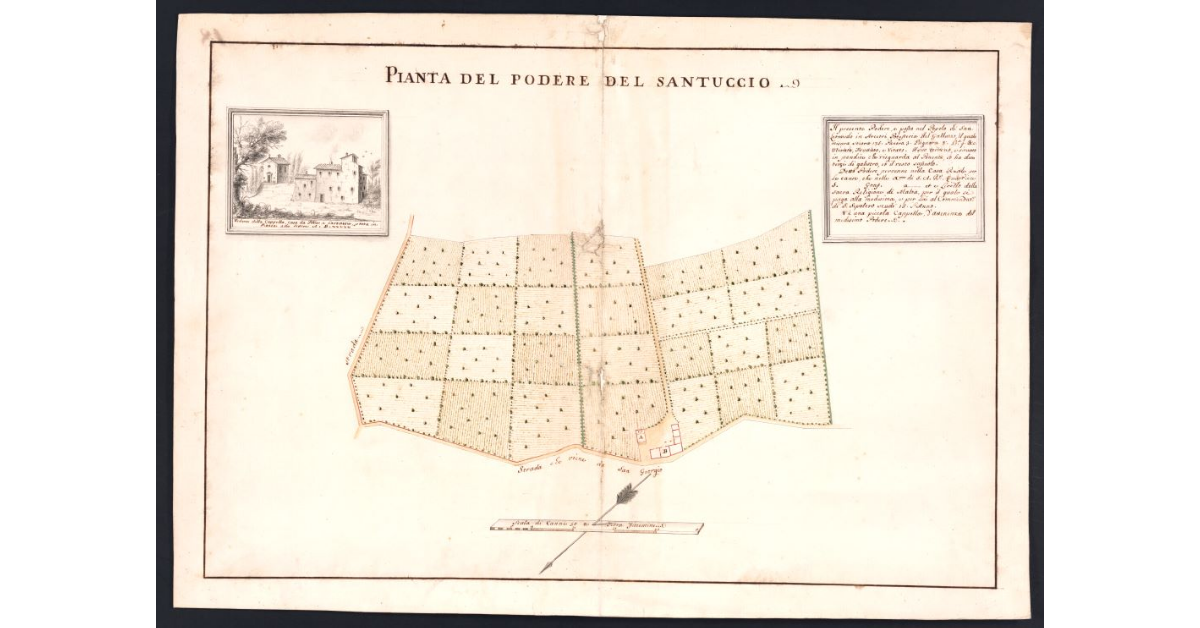 Pianta del podere del Santuccio