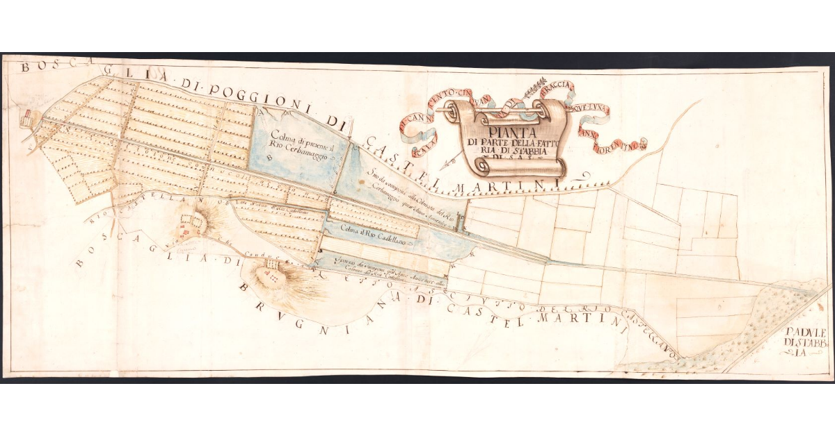 Pianta di parte della Fattoria di Stabbia di S.A.S