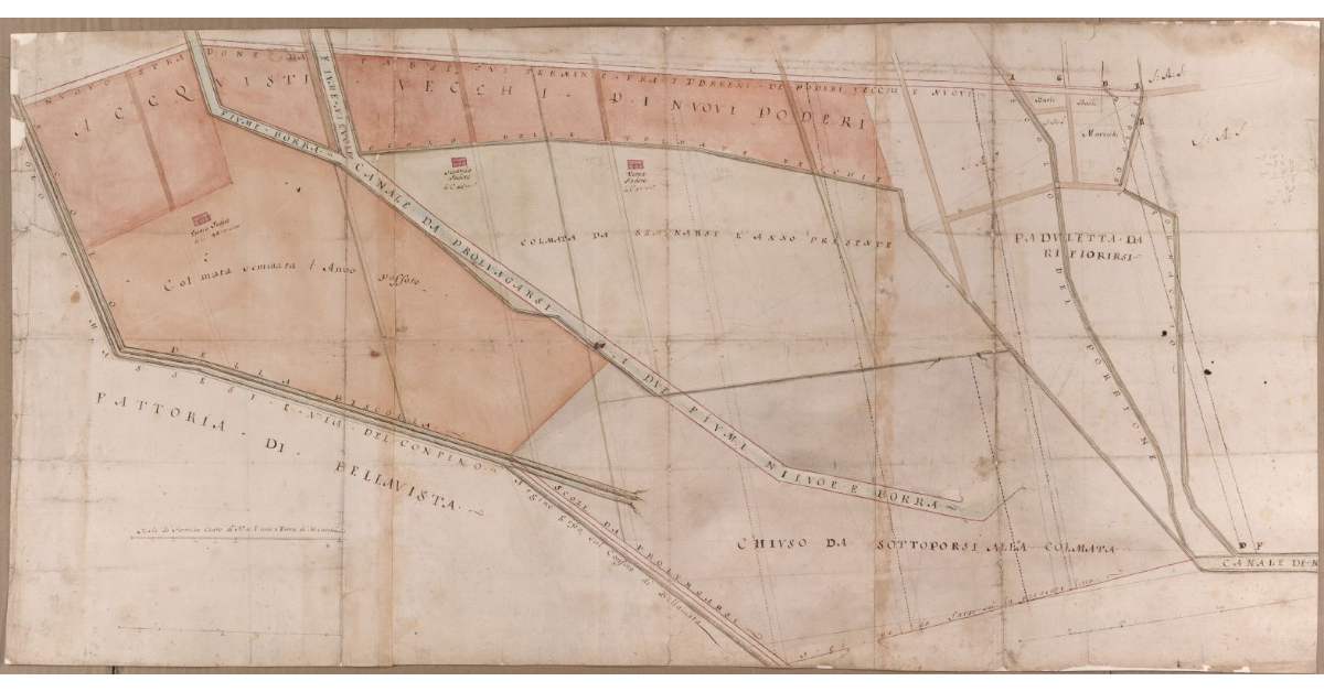 [Pianta di una parte dei terreni della fattoria del Terzo]