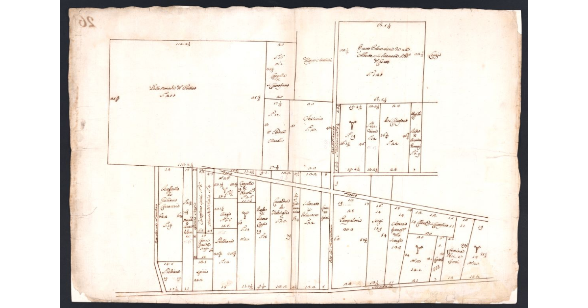 [Piante delle terre poste fra la via che va al Mulino ed il Chiuso del Beccaio del Petriolo]