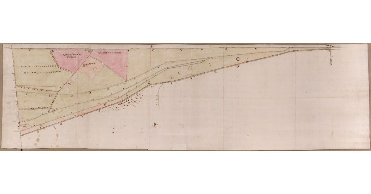 [Pianta dei terreni della tenuta del Faldo compresi fra il fosso Nuovo e l'Arnaccio dalla via di Collina fino ai Ponti di Stagno]