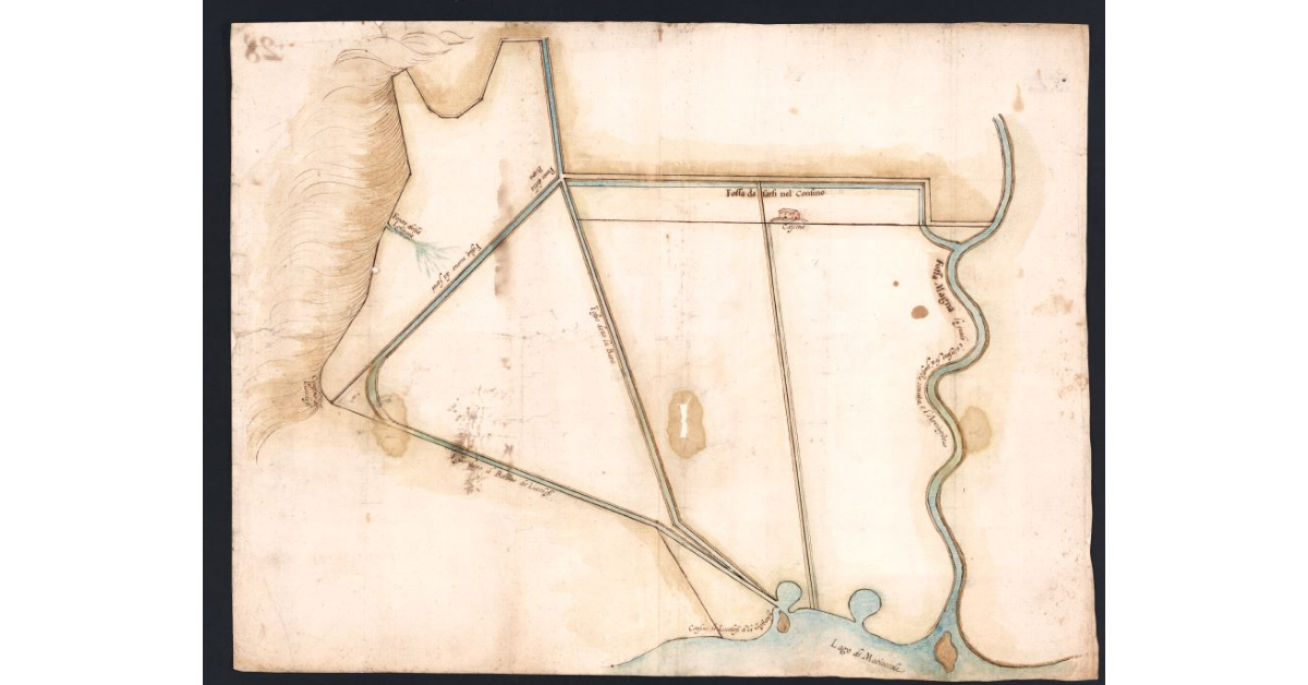 [Fattoria di Vecchiano]