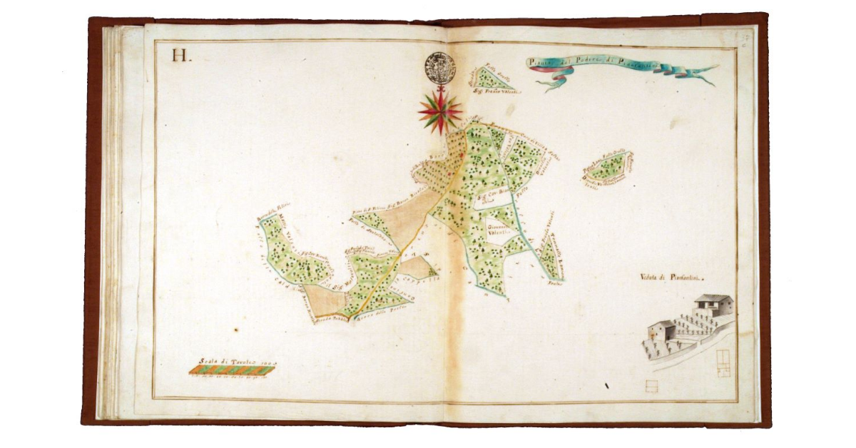 Pianta del podere di Pianfantini