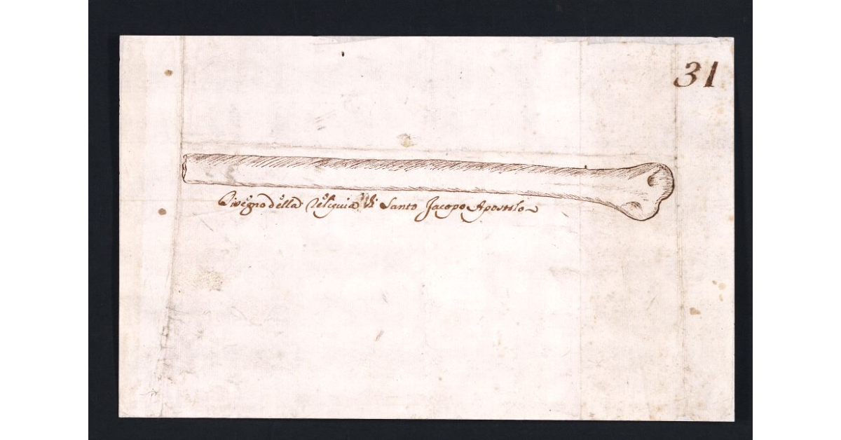 Disegno della reliquia di Santo Iacopo Apostolo