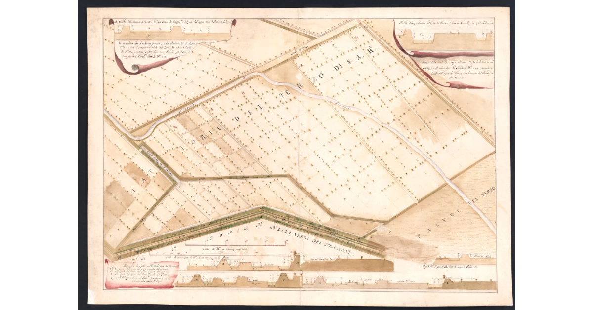 [Pianta di una parte dei terreni della fattoria del Terzo]