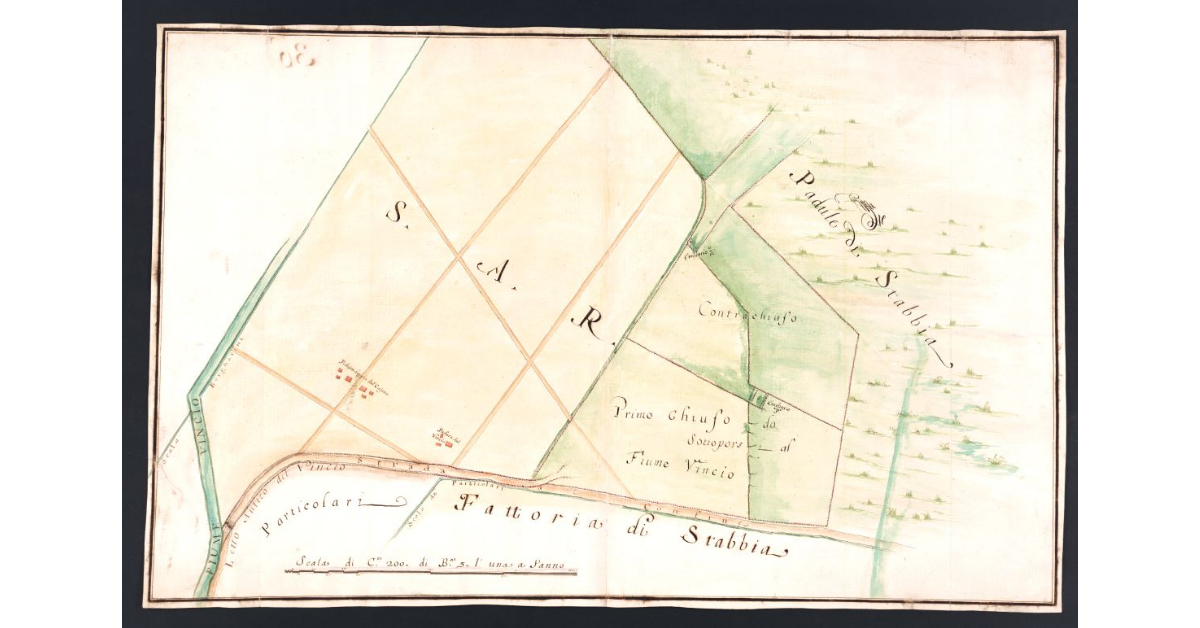 [Pianta di una porzione della fattoria del Ponte a Cappiano a confine con quella di Stabbia, dove doveva colmare il fiume Vincio]