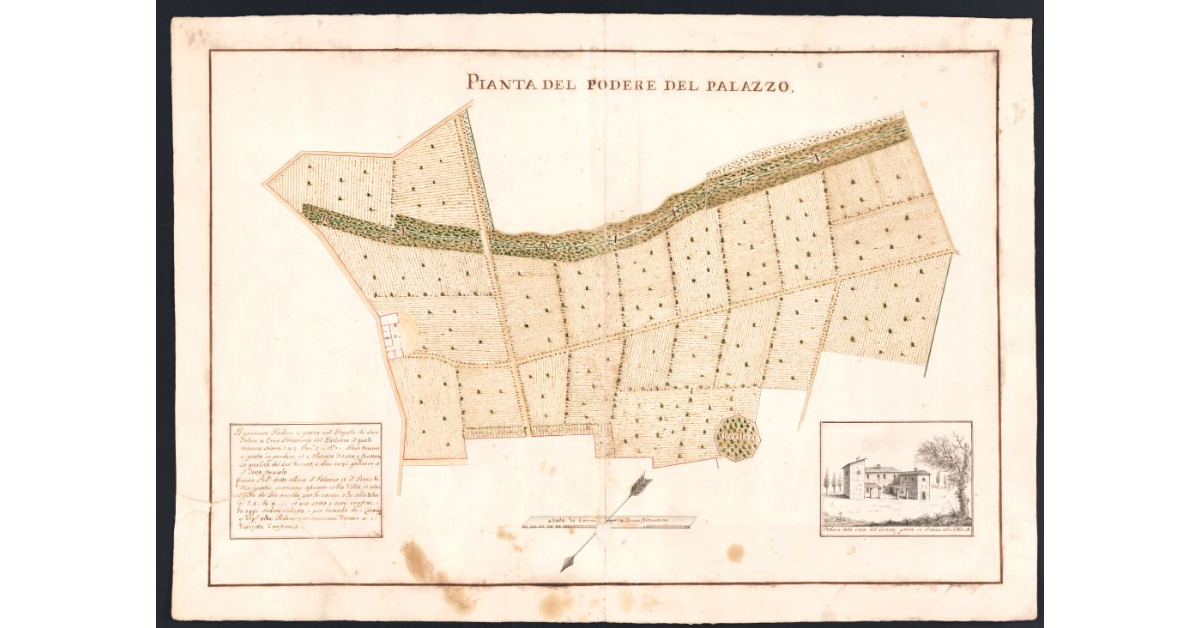 Pianta del podere del Palazzo