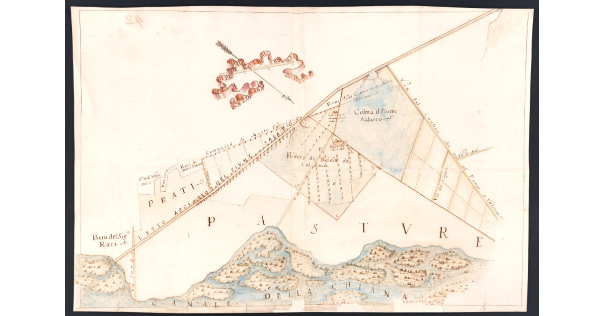 [Pianta dei poderi della fattoria dei Paglieti fra il fiume Salarco ed il canale del Chiaro con la colmata del fiume]