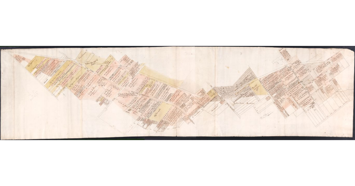 [Pianta che dimostra i terreni comprati dall'Ufizio della Parte nell'Isola di S. Donnino e S. Moro, aggiudicati a S.A.R. nel 1600]