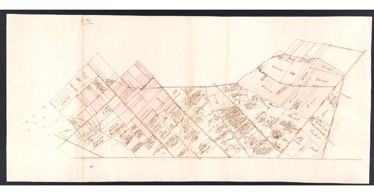 [Pianta dei terreni di S. Donnino]