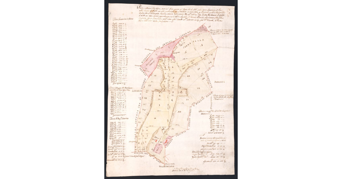 [Pianta, e Misure delle Terre, tanto nel Piano quanto nel Poggio, che di presente gode Cosimo Rossermini di Pisa nella Tenuta di Nugola con altre pretenzioni che distamente si dimostrano, per la piccola porzione della Cerretella ed altro sito al Terminaccio...]