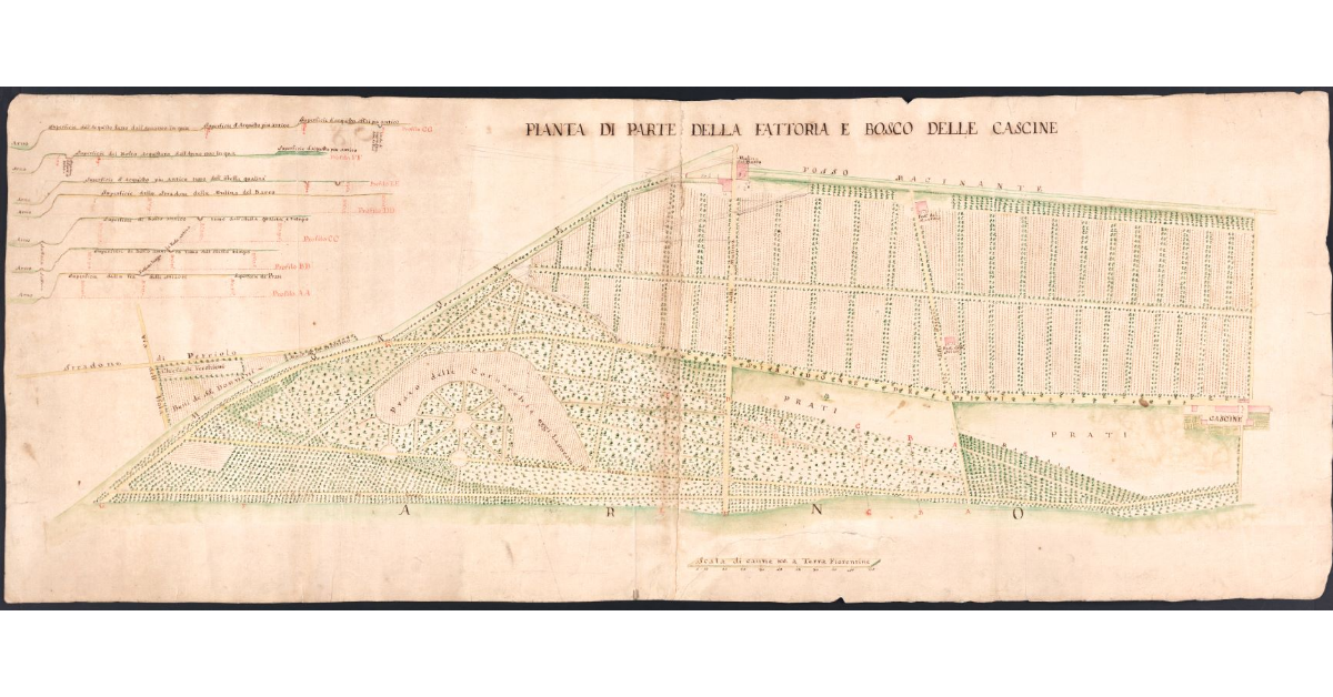 Pianta di parte della fattoria e bosco delle Cascine