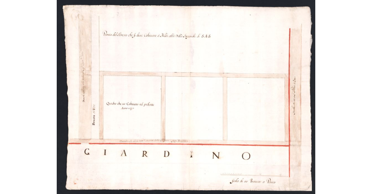 Pianta del terreno che si deve coltivare à Nesti alla Villa Imperiale di S.A.S