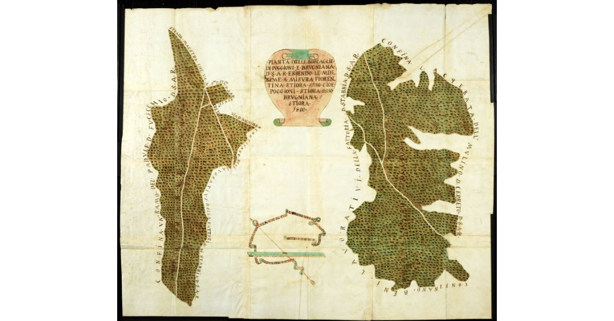 Pianta delle boscaglie di Poggioni e Brugnana di S.A.R. essendo le medesime a misura fiorentina stiora 4130 cioè Poggioni stiora 2330, Brugnana stiora 1800