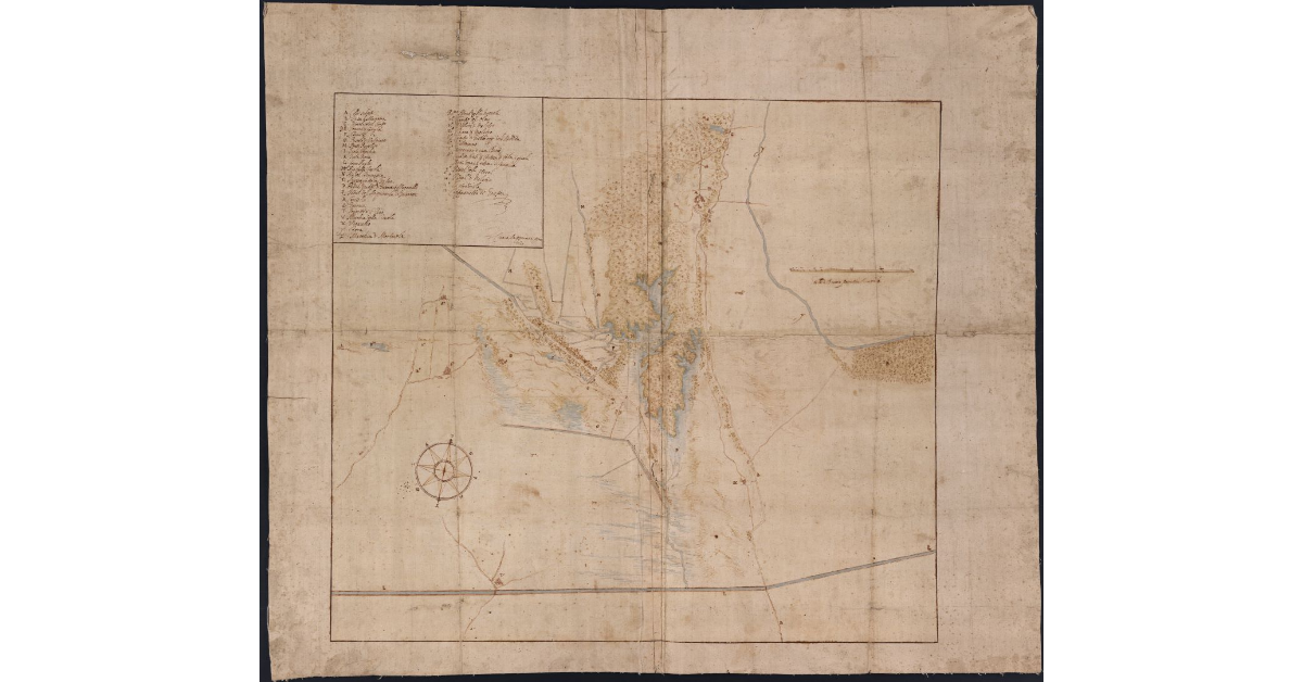 [Padule di Guinceri e Vicarello]