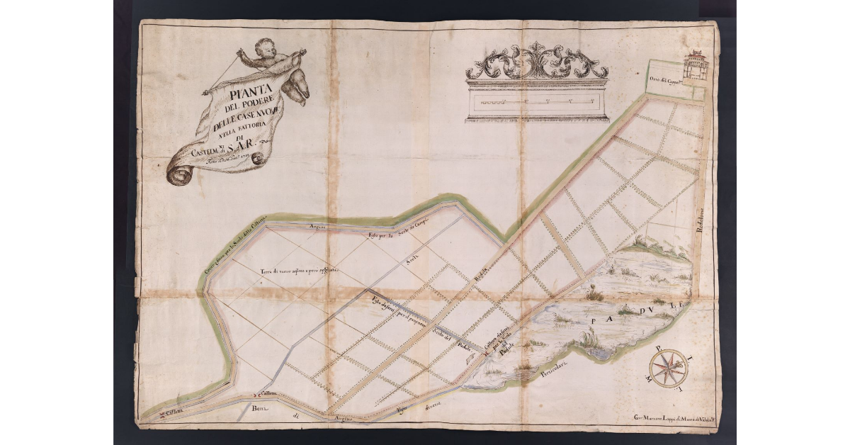 Pianta del podere delle Case Nuove nella fattoria di Castel Martini di S.A.R