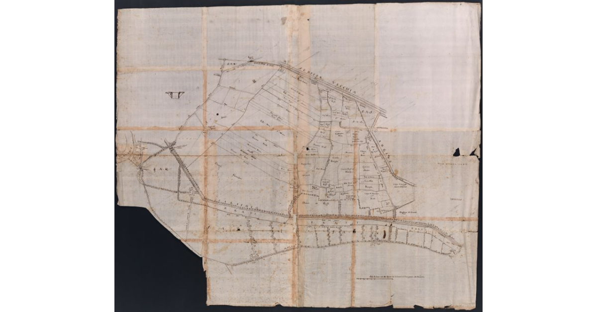 Pianta per le Colmate di Vicopisano