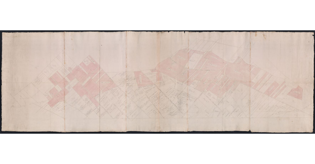 [Pianta dei terreni di S. Donnino e S. Moro]