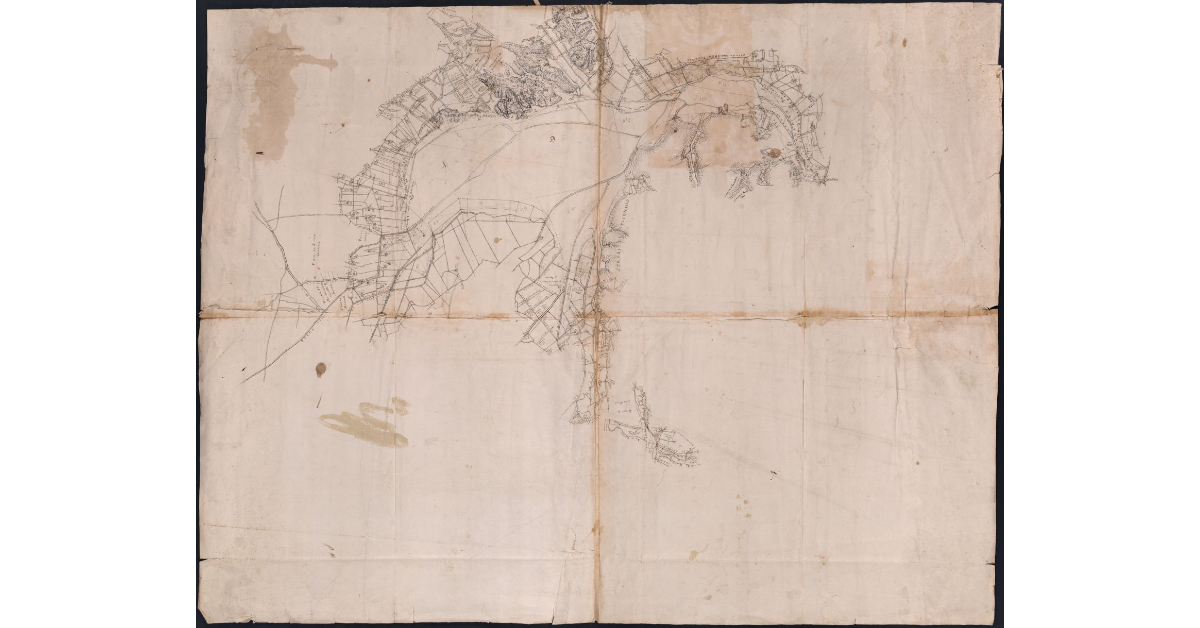 [Pianta dell'area adiacente al padule di Fucecchio]