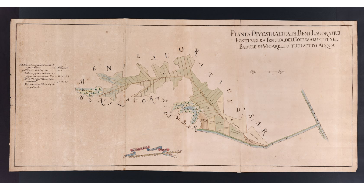 Pianta Dimostrativa di Beni Lavorativi Posti nella Tenuta, del ColleSalvetti nel Padule di Vicarello tuti sotto Acqua