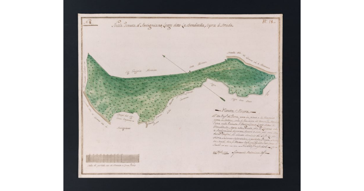 Nella Tenuta d'Antignano, Luogo detto La Banditella, sopra à strada