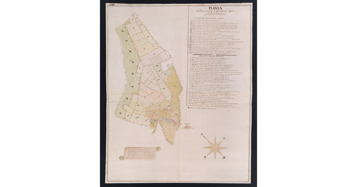 Pianta de' Terreni circonvicini al Ramo superiore, e inferiore del Rio di Fucecchio
