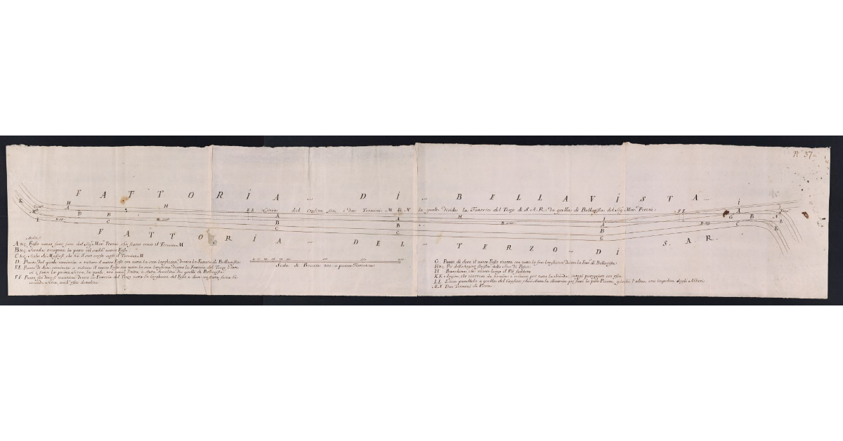 [Confine fra la fattoria del Terzo e quella di Bellavista]