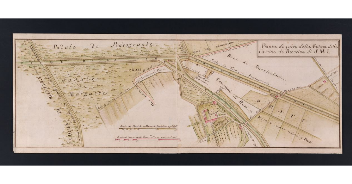 Pianta di una parte della Fattoria delle Cascine di Bientina di S.M.I