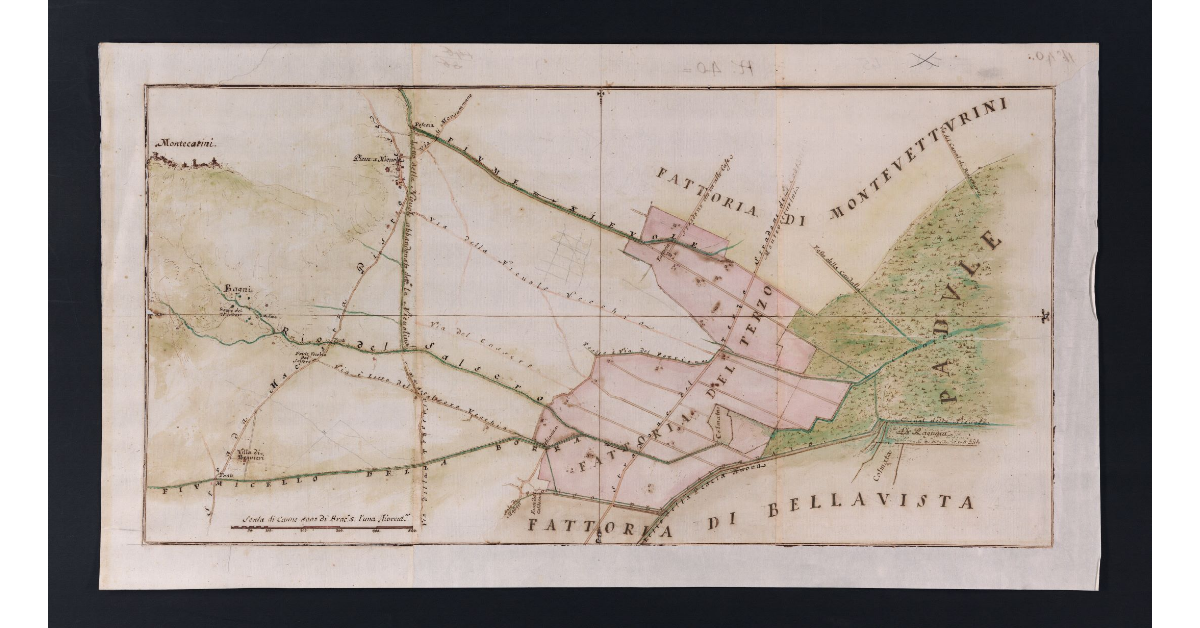 [Fattoria del Terzo]