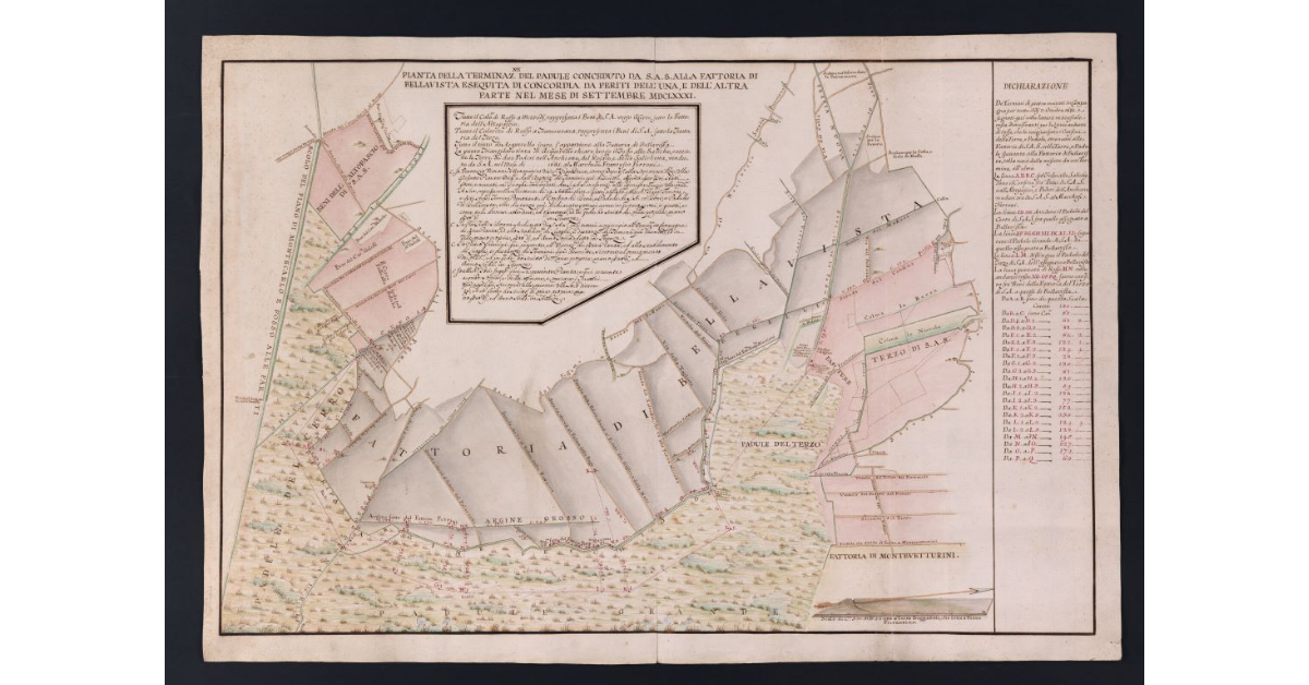 Pianta della terminazione del padule conceduto da S.A.S. alla fattoria di Bellavista esequita di concordia da periti, dell'una e dell'altra parte nel mese di settembre MDCLXXXI