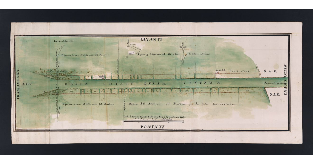 [Pianta di una porzione del fosso Chiaro della Serezza]