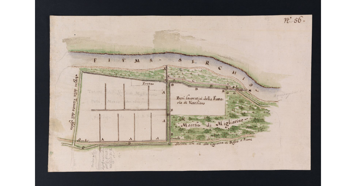 [Pianta del tronco del fiume Serchio presso le macchie di Migliarino e la fattoria di Vecchiano]