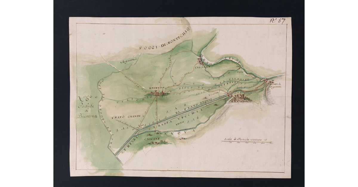 [Pianta dei territori di Bientina, Vicopisano e Calcinaia]