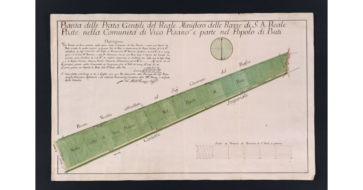 Pianta delle Prata Gentili del Reale Ministero delle Razze di S. A. Reale Poste nella Comunità di Vico Pisano e parte nel Popolo di Buti