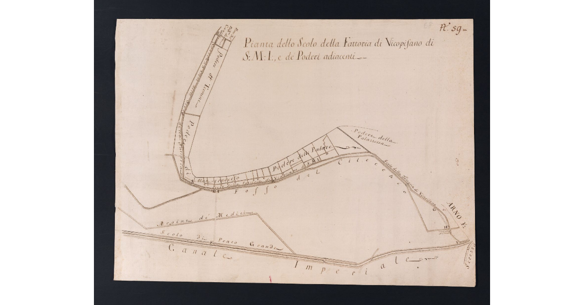 Pianta dello Scolo della Fattoria di Vicopisano di S.M.I. e de' Poderi adiacenti