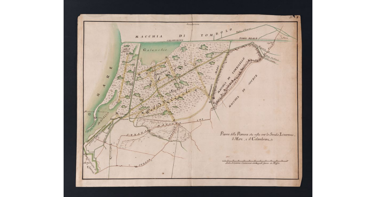 Pianta della Pianura che resta tra la Strada Livornese, il Mare, e il Calambrone