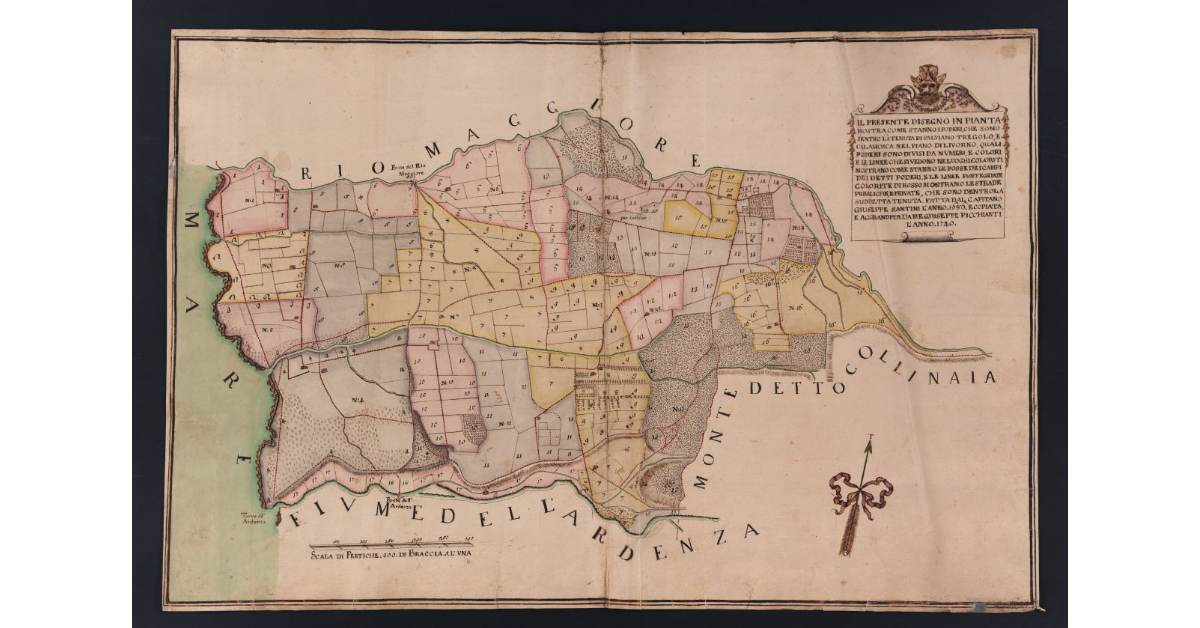 [Pianta dei poderi di Tregolo e Calamosca nella Tenuta di Salviano nel piano di Livorno]