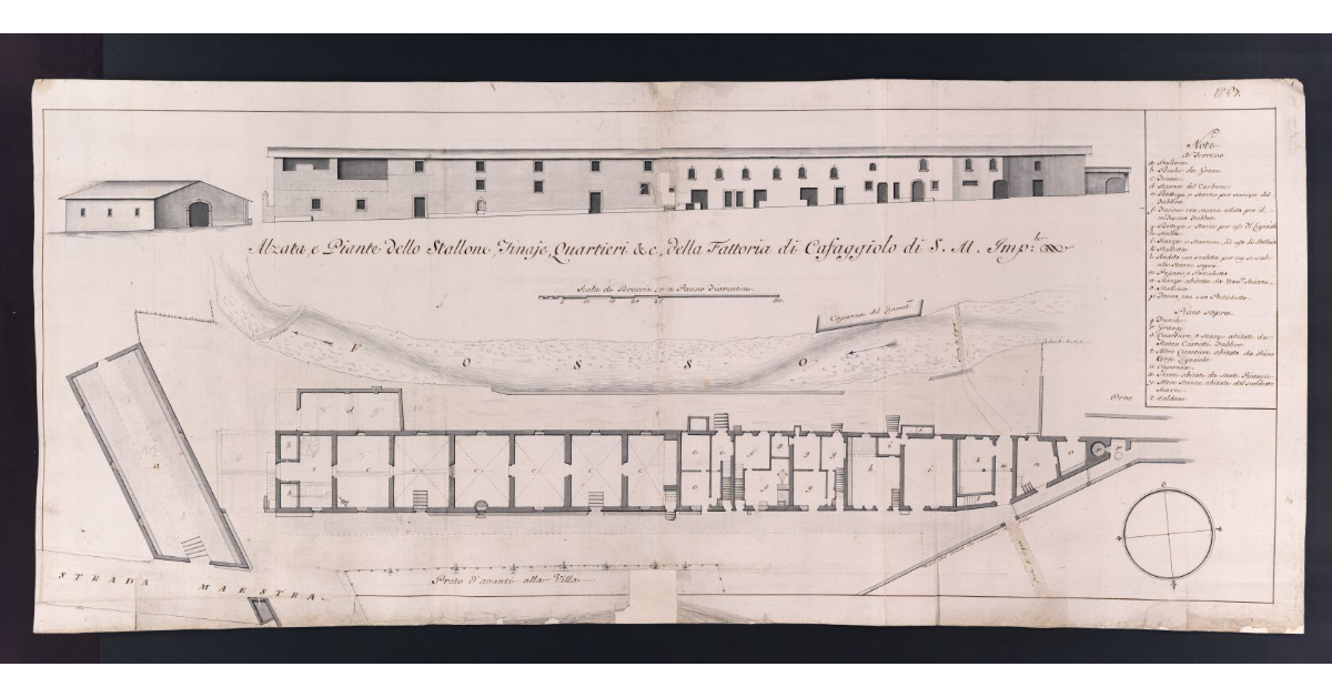 Alzata, e Piante dello Stallone, Tinaie, Quartieri ec, della Fattoria di Cafaggiolo di S. M. Imp.le