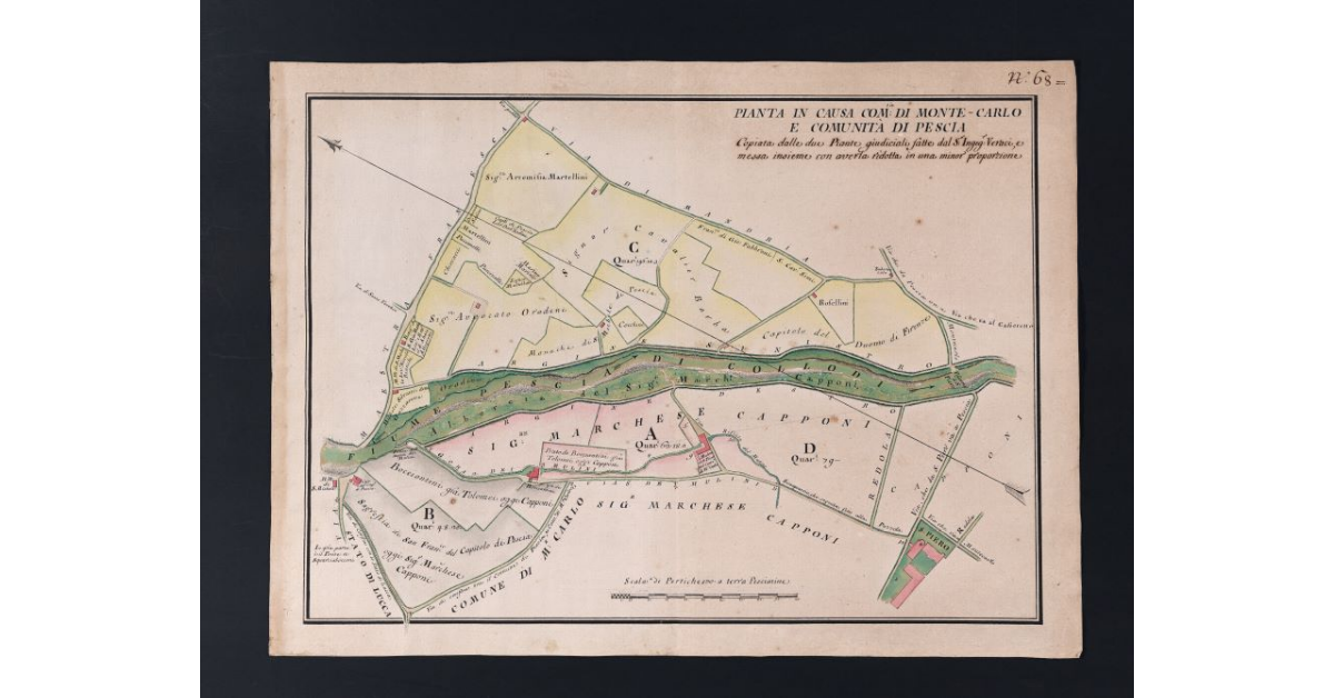 Pianta in causa com.tà di Monte Carlo e comunità di Pescia
