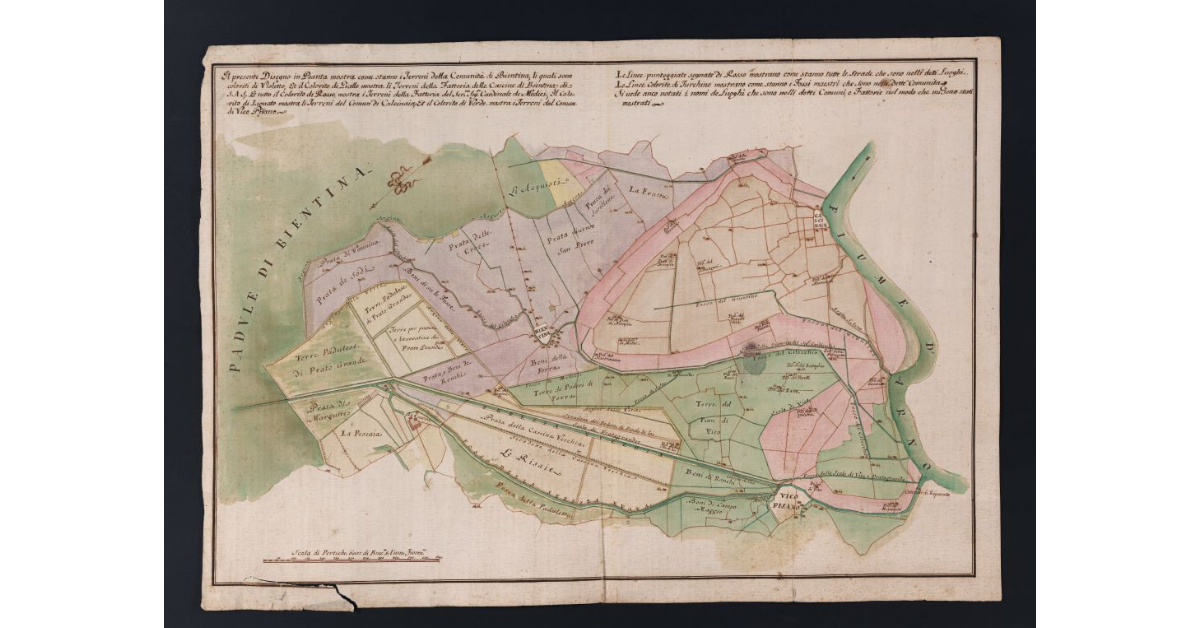 [Pianta dei terreni delle comunità di Bientina, Calcinaia, Vicopisano e delle fattorie di Bientina e del cardinale de' Medici]