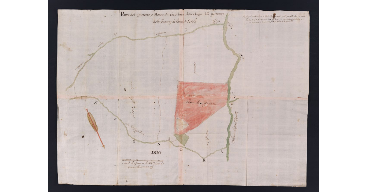 Pianta del Querceto, e Bosco da foco logo detto i Lago delle Pertinenze della Fattoria di Panna di S.A.R