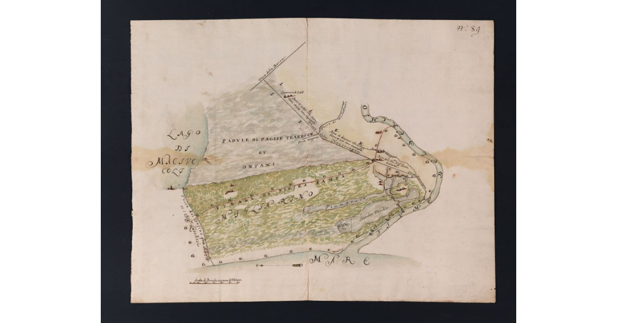 [Pianta di alcune terre della tenuta di Migliarino]