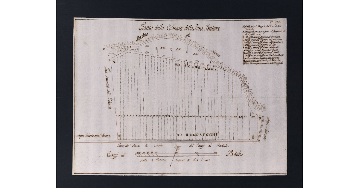 Pianta della Colmata della Tora Prativa