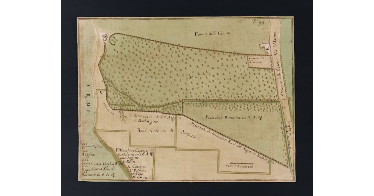 [Pianta della caccia di S. Bartolmeo e dei prati delle Banditine, nella tenuta di S. Rossore]