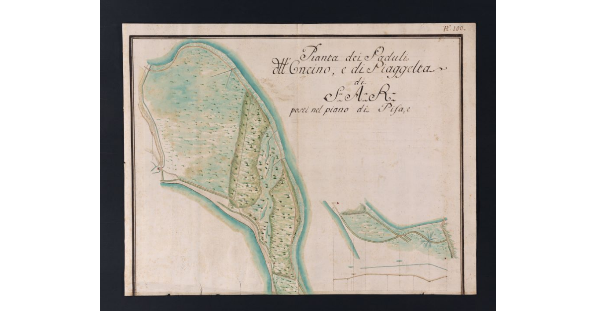 Pianta dei Paduli dell'Oncino, e di Piaggelta di S.A.R. posti nel piano di Pisa, e