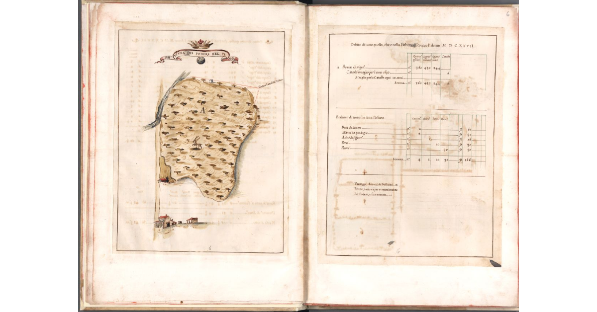 Pastura del podere del Pino